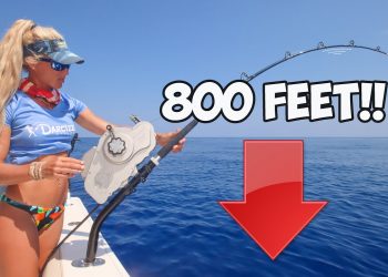 $5000 Reel Fishing 800 ft Deep & Caught a New Species! (Florida Keys Catch & Cook)