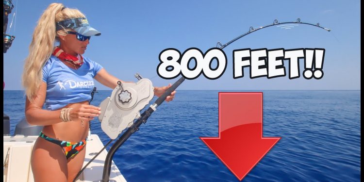 $5000 Reel Fishing 800 ft Deep & Caught a New Species! (Florida Keys Catch & Cook)