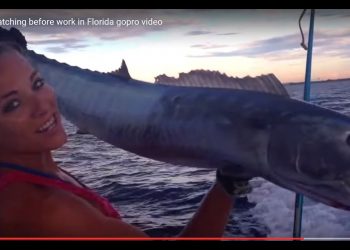 Florida Fishing Girl Lands Big WAHOO Video