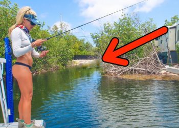 Found a SECRET Florida Keys Canal & Caught This! (Catch n’ Cook BBQ)