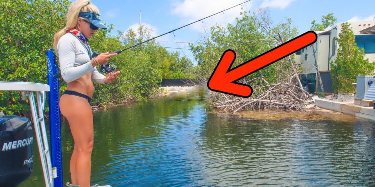 Found a SECRET Florida Keys Canal & Caught This! (Catch n’ Cook BBQ)