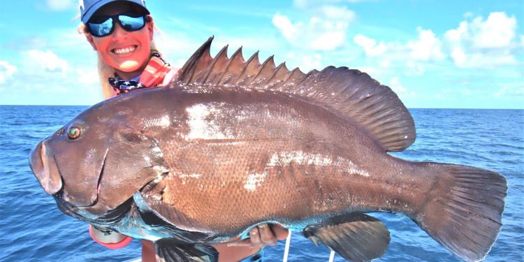 Girl Fillets Massive Grouper!