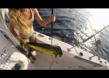 Hot Fishing Girl Gaffing a Mahi Offshore Florida