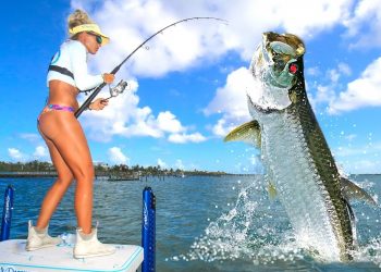 This Is Why You Fish BIG BAITS Under Florida Keys Bridges!