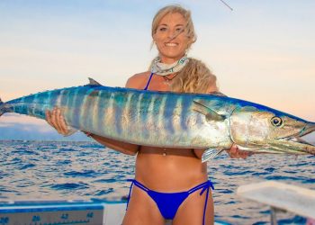 2 Hours of Non-Stop Action! The World’s BEST Florida Wahoo Catch & Cook Fishing Videos