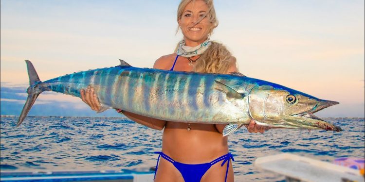 2 Hours of Non-Stop Action! The World’s BEST Florida Wahoo Catch & Cook Fishing Videos