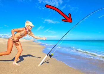 Beach Fishing For Florida Pompano! (Catch & Cook Compilation)