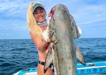 Best How To Fillet a Cobia- Easy & Simple Fish Cleaning ft Fish Ribs