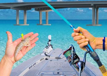 Budget Fishing Challenge! (Rod & Reel)