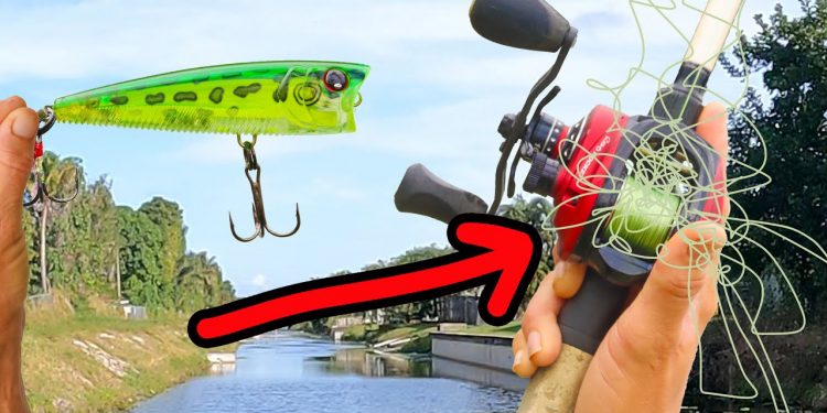 Can Men Catch Fish Without a Woman’s Help?