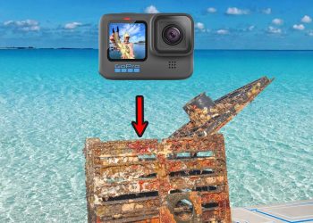 Dropped a GoPro in a Stone Crab Trap & Saw This!