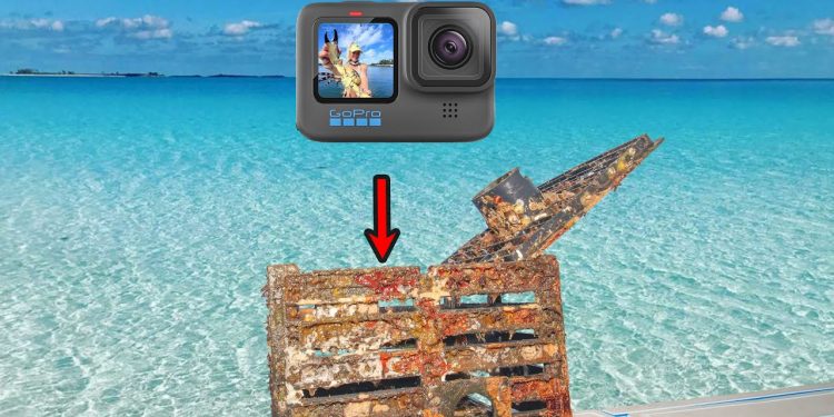 Dropped a GoPro in a Stone Crab Trap & Saw This!