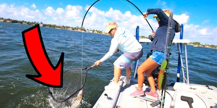 Dropped a Live Shrimp in a Public Waterway- Unexpected Lifetime Catch!
