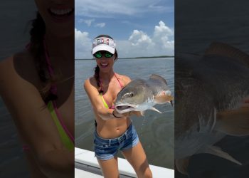 Good looking redfish 🤩 #fishingwithluiza #redfish #fishing #florida