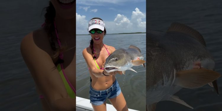Good looking redfish 🤩 #fishingwithluiza #redfish #fishing #florida