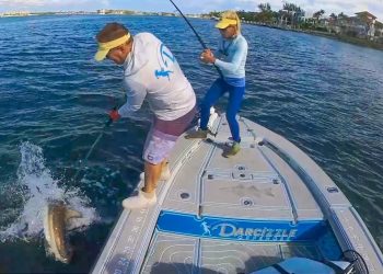 How To Shark Catch & Cook! NO RELEASE