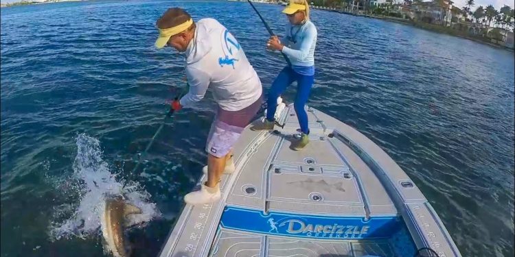 How To Shark Catch & Cook! NO RELEASE