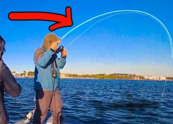 Tossed a Live Shrimp in a Public Waterway & Almost Caught a PRIZED Fish!