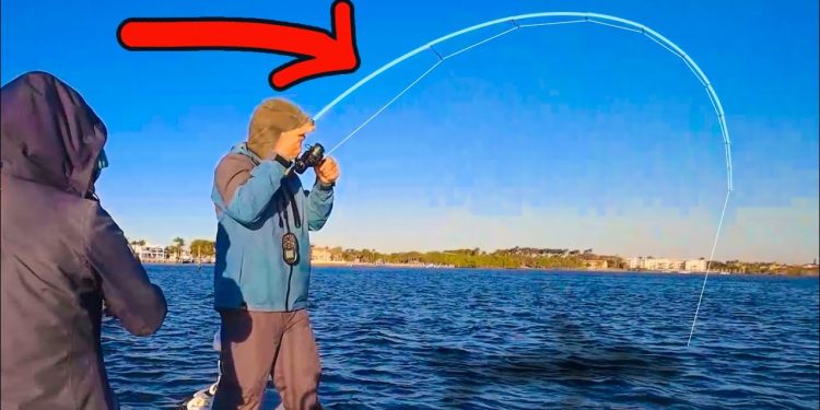 Tossed a Live Shrimp in a Public Waterway & Almost Caught a PRIZED Fish!