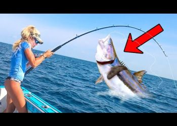 Tossing Out Live Bait for Monster Cobia! (Fish Ribs Catch & Cook Video)