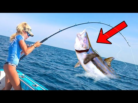 Tossing Out Live Bait for Monster Cobia! (Fish Ribs Catch & Cook Video)