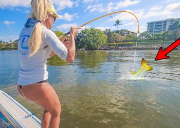 Tossing Tiny Bait On Florida Shoreline for Big Fish! (Catch & Cook)