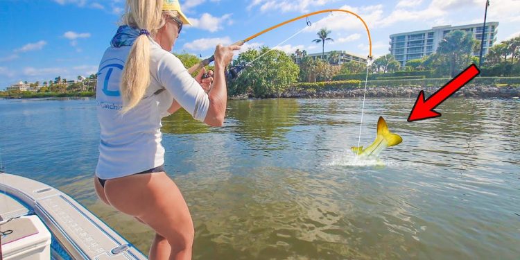 Tossing Tiny Bait On Florida Shoreline for Big Fish! (Catch & Cook)