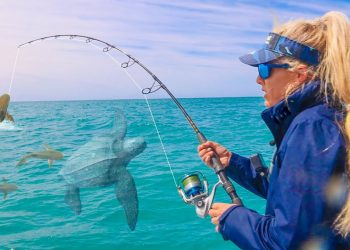 Unexpected! Giant Sea Creatures Caught on Camera (Whales, Turtles & Massive Fish)