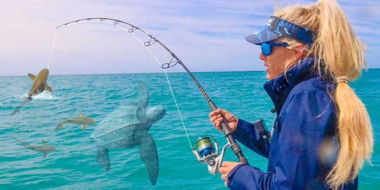 Unexpected! Giant Sea Creatures Caught on Camera (Whales, Turtles & Massive Fish)
