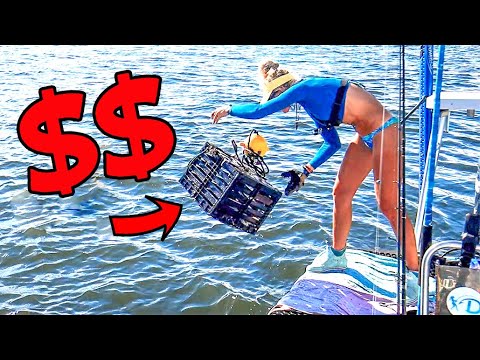 World’s Most Expensive Seafood!