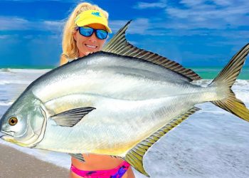 World’s Most Prized Fish from the Beach! (Catch & Cook)