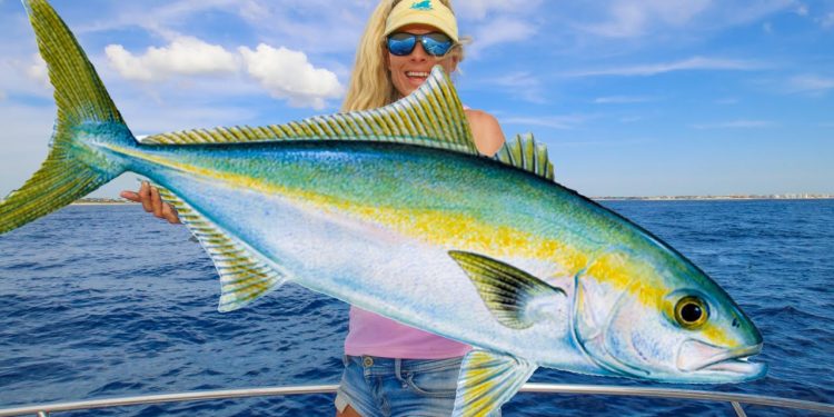 World’s Most Underrated Fish!  DO NOT Throw This Back (Catch & Cook)
