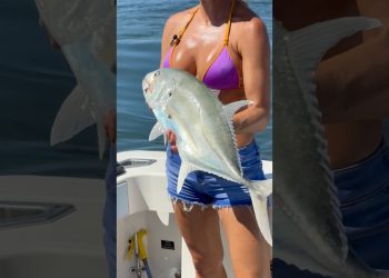 Catching and releasing a Jack while inshore FISHING