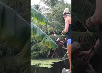 Girl Bowfishing INVASIVE Fish Species!🏹🐟 #bowfishing #floridafishing