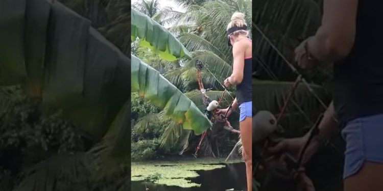 Girl Bowfishing INVASIVE Fish Species!🏹🐟 #bowfishing #floridafishing