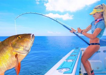 He Almost DIED! Florida Live-Bait Bottom Fishing (Complete A-Z Catch, Clean & Cook)
