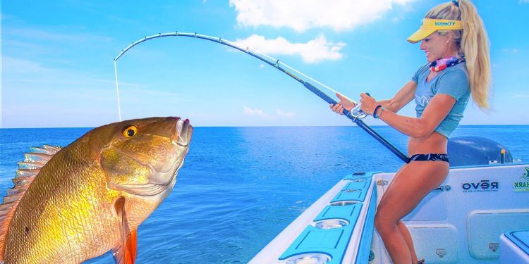 He Almost DIED! Florida Live-Bait Bottom Fishing (Complete A-Z Catch, Clean & Cook)