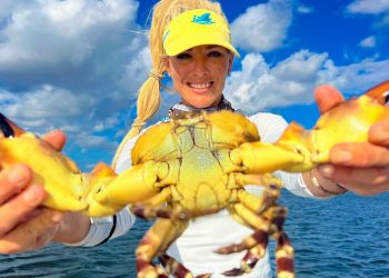 How To Catch Stone Crabs from Zero to HERO!