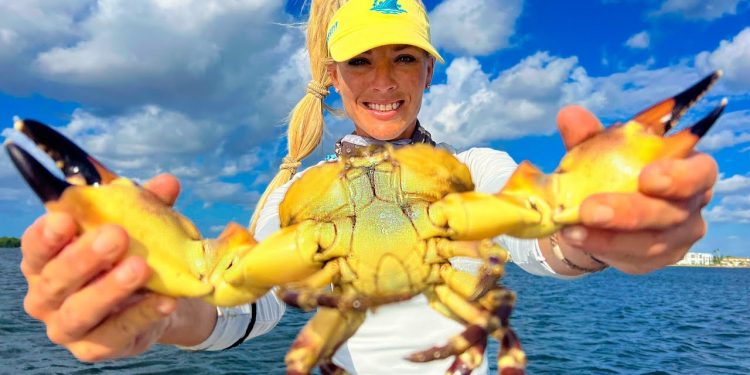 How To Catch Stone Crabs from Zero to HERO!