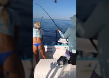 How to Catch Mahi Deep Sea Trolling! Everything you need to know