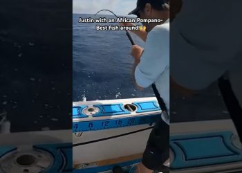 Micro Jigging to Catch PRIZED Deep Sea Fish! #jigging #verticaljigging