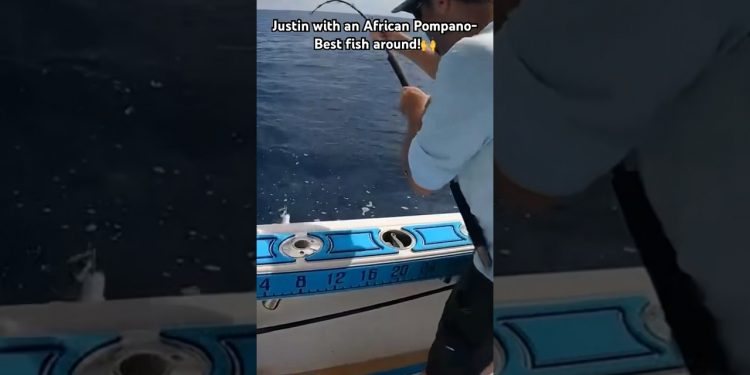Micro Jigging to Catch PRIZED Deep Sea Fish! #jigging #verticaljigging