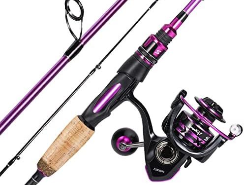 Sougayilang Fishing Pole, 30-Ton Carbon Fiber Fishing Rod and Reel Combo, 2 Pcs Blanks Spinning Reel Combos