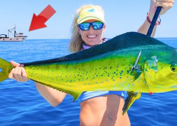 The TRUTH Behind Florida’s Dying Mahi Mahi Population! Florida Offshore Catch & Cook