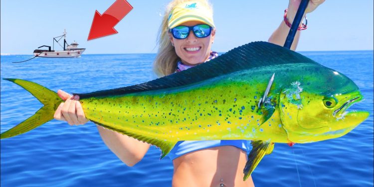 The TRUTH Behind Florida’s Dying Mahi Mahi Population! Florida Offshore Catch & Cook