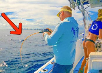 Using MICRO Jigs to Catch BIG Fish! Florida Offshore Fishing