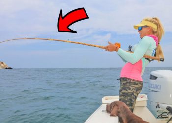 We LIMITED OUT on Atlantic Cod! Jiggin’ for Cod & Seabass, Montauk, NY (Catch & Cook)