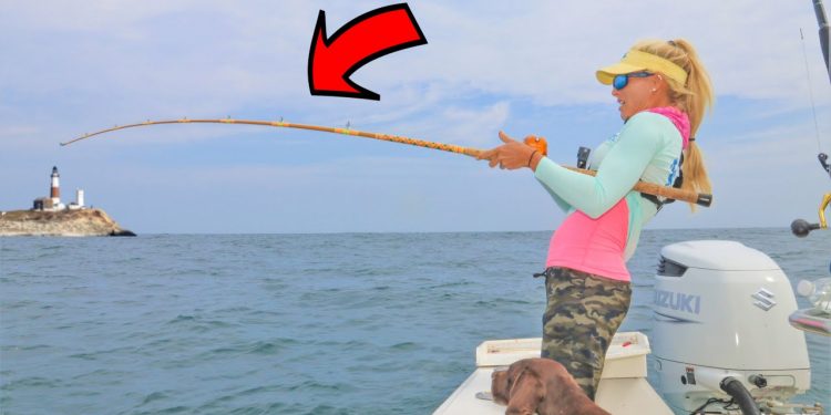 We LIMITED OUT on Atlantic Cod! Jiggin’ for Cod & Seabass, Montauk, NY (Catch & Cook)