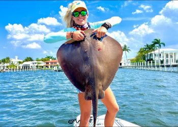 Confession! I used this massive Stingray for bait.