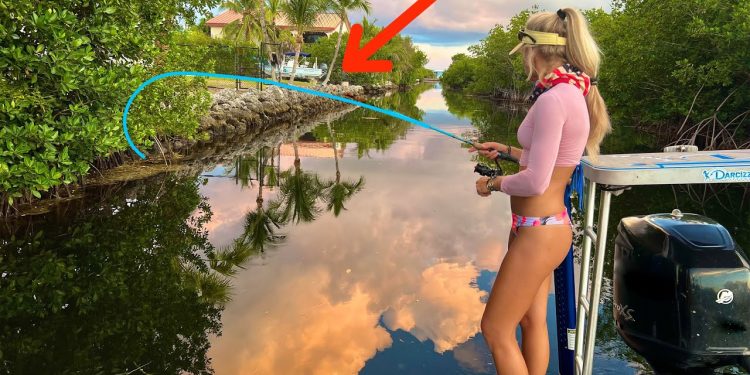 Discovered a TINY Florida Keys Canal & Things Got Crazy!!